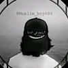 m._17301