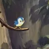 kitkat249987