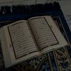 user7515827911852