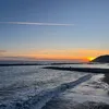 lamavii_