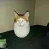 chair0_2