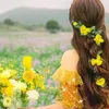 usernt8d4d454a