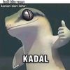 kheidra_rasya