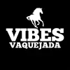 vibesvaquejada