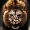 king397345