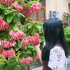 ali_ce_202