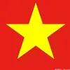 baothi2911
