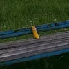 dimonovsky_