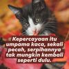 aimkelaut