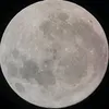 n_.ll_x2