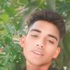 dilsad228