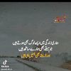 nimrarajpoot809