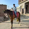 sardar_ali_haider0