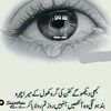 ali.shan.wattoo36