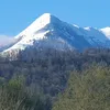 delmasfort