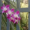thanhthanh73236