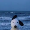 liilk_111