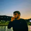 shino_gulli1