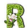 user9199965707666