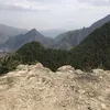 mu_qin1l1