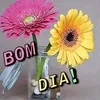 geovanamachado622