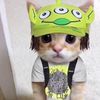 babybrush69