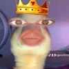 carv4lhoo_g