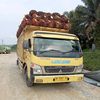 azrill_okee89