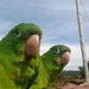 neguinha e negão 😍