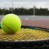 alextenis12