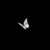 here_here.09