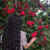asoo_739