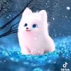 user640920502