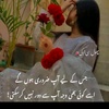 ayesha17289