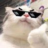 sad.cat301