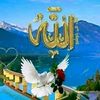 user4471869126602