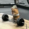 gimail88