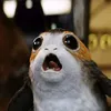 porgfromstarwars