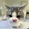 mtulll_
