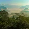 chi.thanh.18