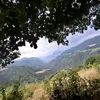 seba_mur_
