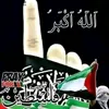 user22390253856028