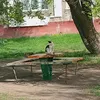 pozivnoy_raxmed
