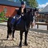 ponny.ryttaren.1