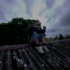 tomatoninja88643