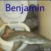rajimahinder
