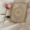 mai.ahmed1265