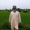 arshadbutt8077