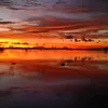 joungjo3
