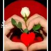 yaarbbii.yaa.allah